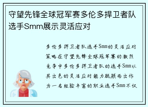 守望先锋全球冠军赛多伦多捍卫者队选手Smm展示灵活应对