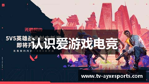 认识爱游戏电竞